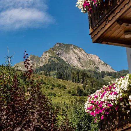 Apartment Bauernhofhotel Unterbergerin - Mit Frühstück Und In Gastein Mit Gratis Thermeneintritt Dorfgastein