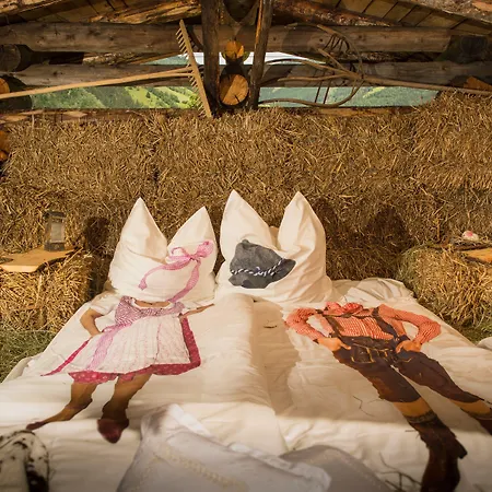 Bauernhofhotel Unterbergerin - Mit Frühstück Und In Gastein Mit Gratis Thermeneintritt Apartment 4*