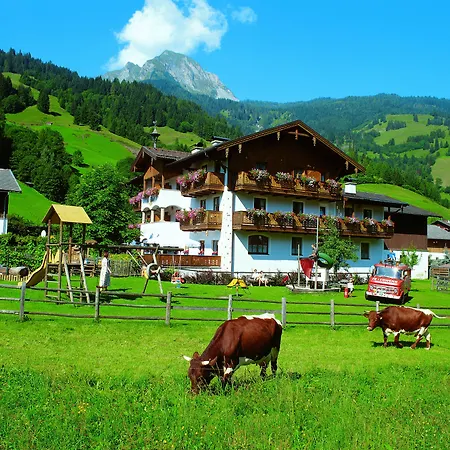 Bauernhofhotel Unterbergerin - Mit Frühstück Und In Gastein Mit Gratis Thermeneintritt Dorfgastein