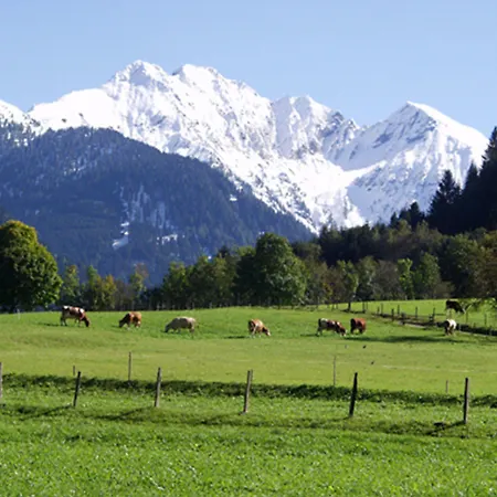 Bauernhofhotel Unterbergerin - Mit Frühstück Und In Gastein Mit Gratis Thermeneintritt 4* Dorfgastein